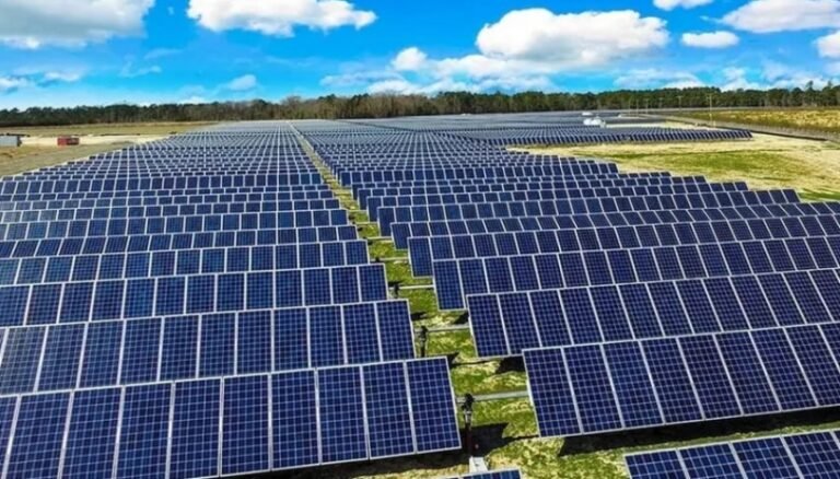 مصر تحتل المركز الثاني في مجال الطاقة الشمسية الإفريقية خلال 2024